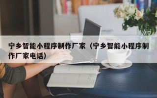 寿光宁乡智能小程序制作厂家（宁乡智能小程序制作厂家电话）